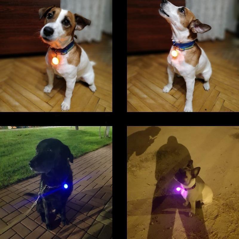 Safety First Dog LED Collar Light - Dog Chews