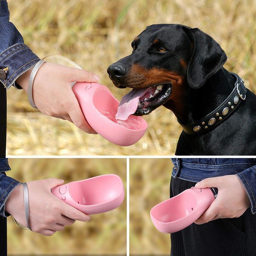 Ultimate Pet Travel Water Bottle - Dog Chews