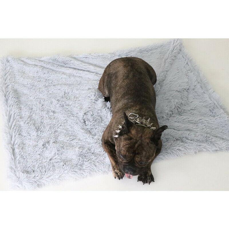 Ultra Soft Pet Blanket - Dog Chews