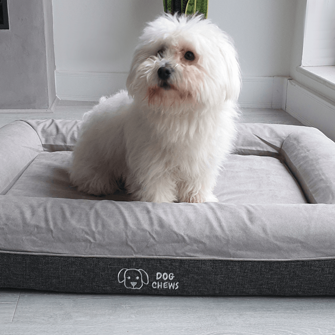 Orthopaedic Memory Foam Pet Bed - Dog Chews