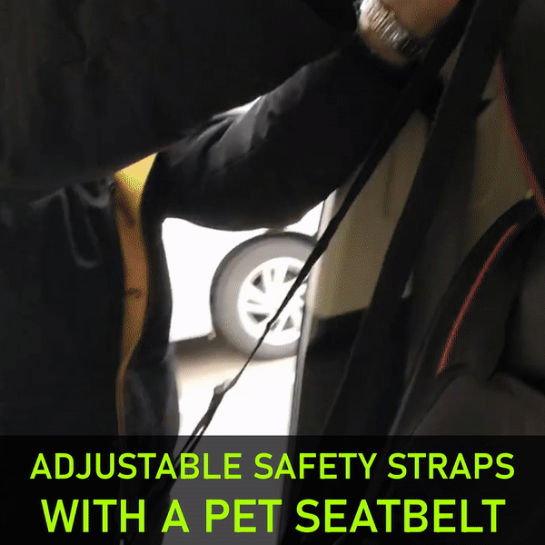 Pet Car Seat - Dog Chews