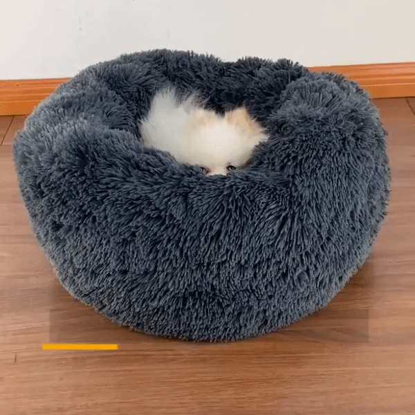 Ultra Fluffy Pet Bed – Dog Chews
