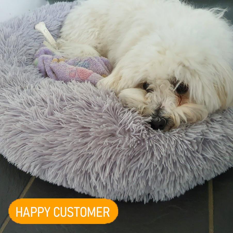 Ultra Fluffy Pet Bed - Dog Chews